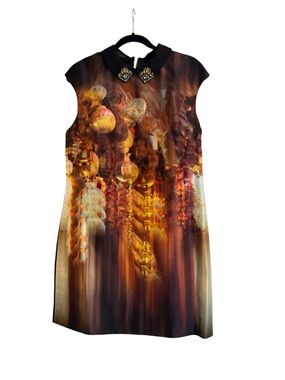 Ted Baker Black-Collar Mini Dress with Amber & Gold Abstract Print